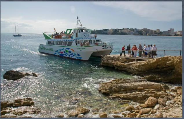 Two-Hour Catamaran Cruise Ticket aboard Dolphin with Cruceros Costa Calvia