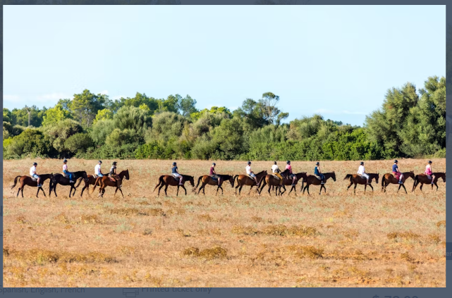 Rancho Grande Two-Hour Horse Ride with Transfer