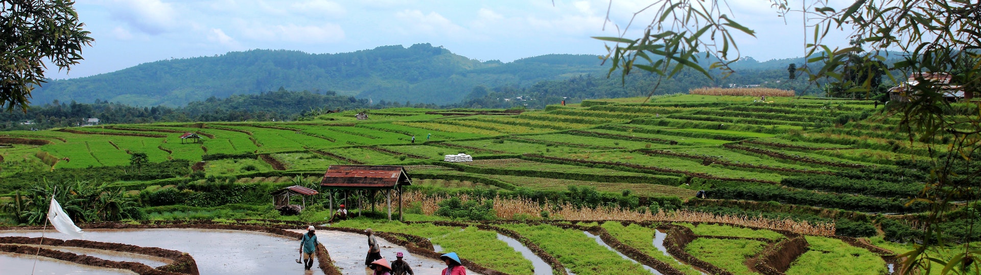 Nanjing Tianluokeng Hakka Cluster Full Day Tour - Private